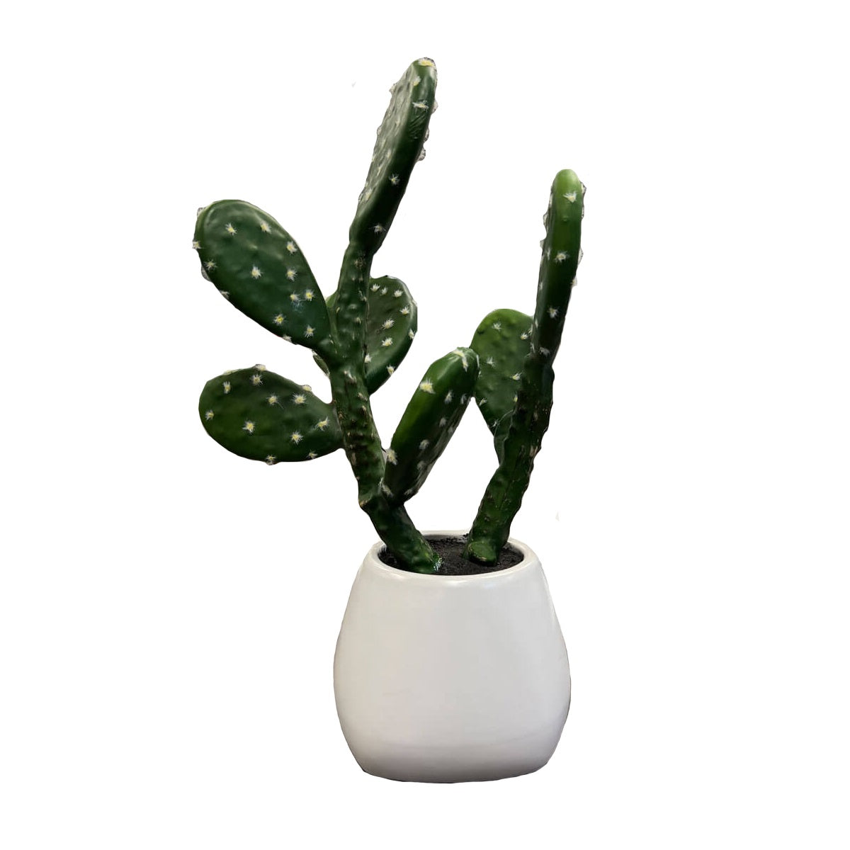 Planta Artificial Decorativa Cactus Lyris