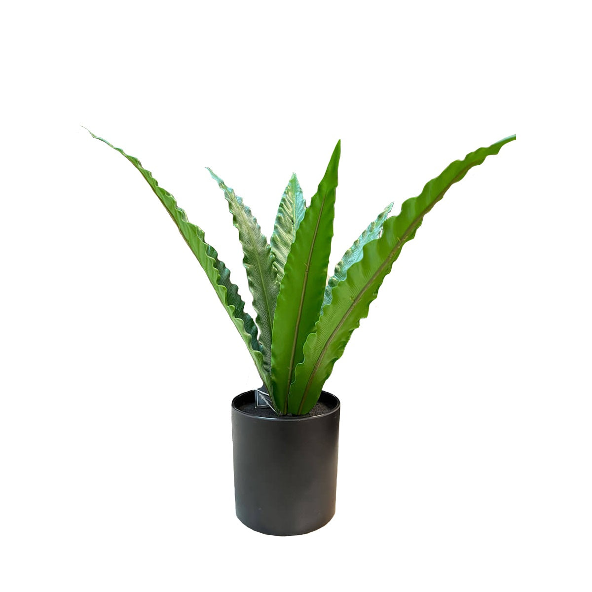 Planta Artificial Decorativa Yucca
