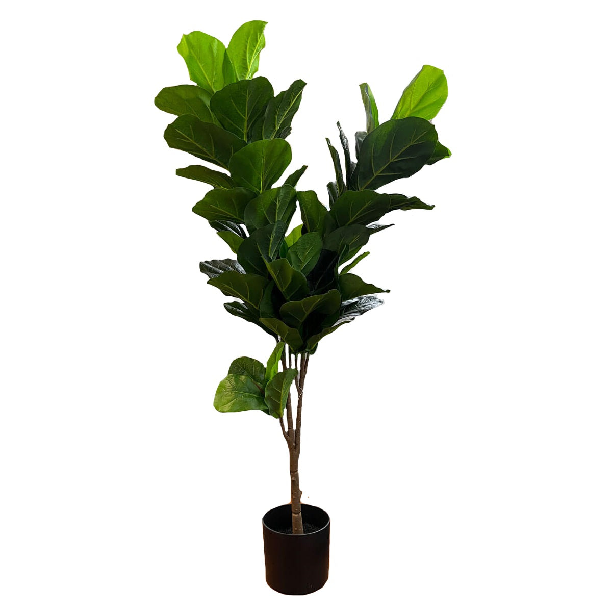 Planta Artificial Decorativa Lira Arbol – Foly Muebles la