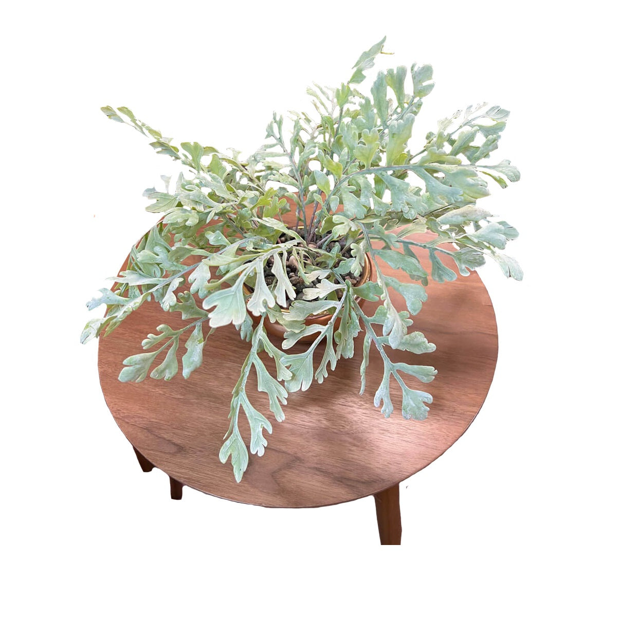 Planta Artificial Decorativa Helecho